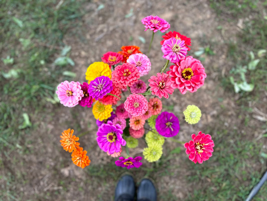 Spring Bouquet Subscription-OXFORD, NC