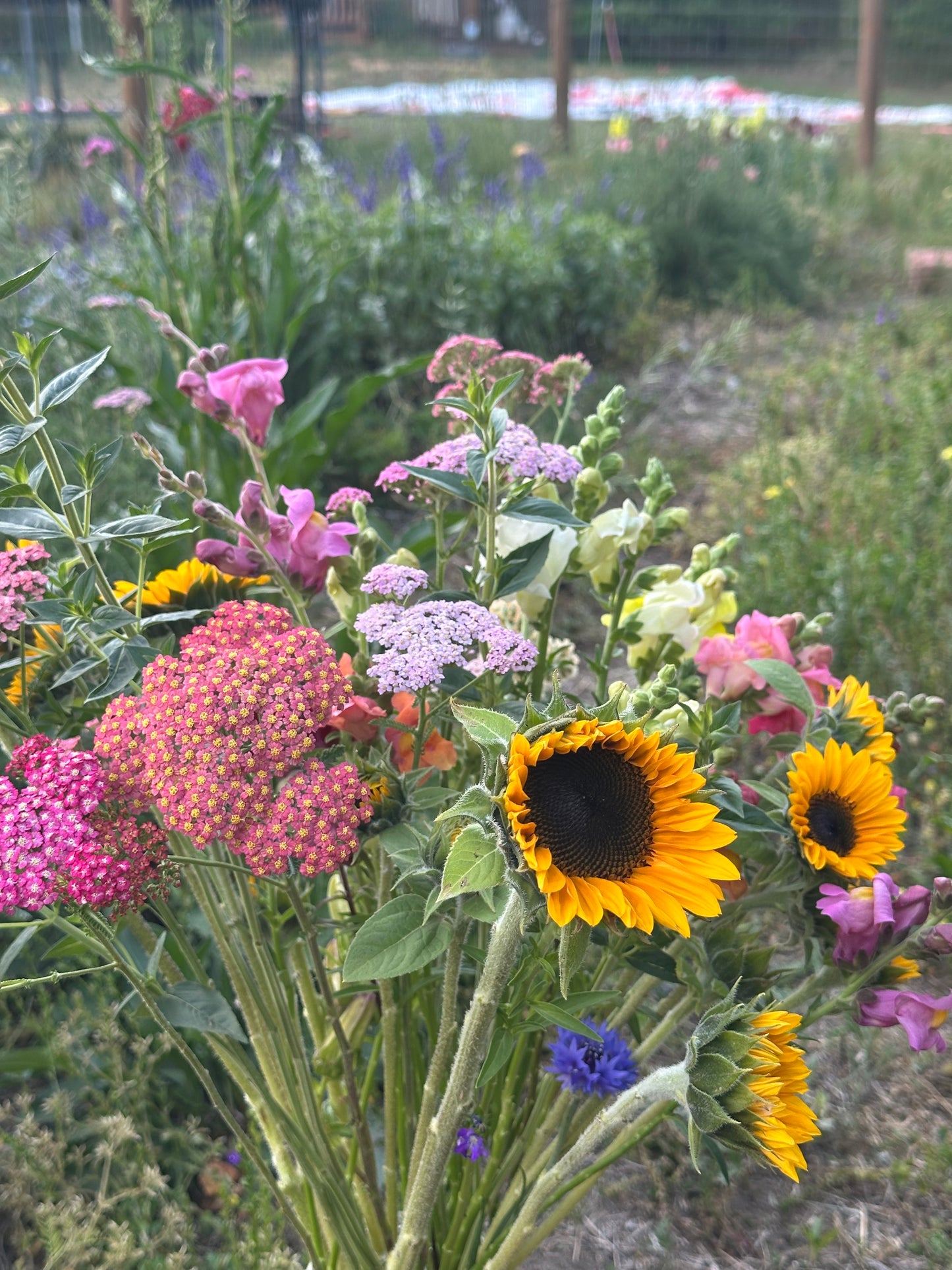 Sunflower Wrapped Bouquet